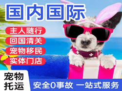 呼伦贝尔机场快运国际宠物托运 【国